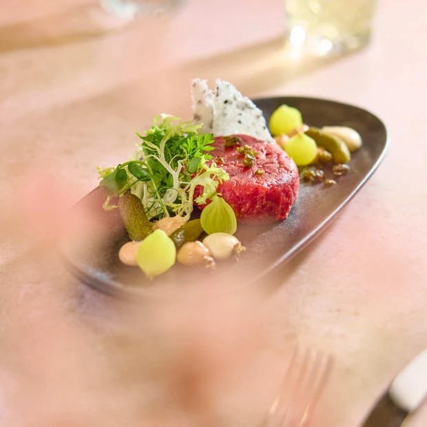TS Steak tartaar (1) (1)